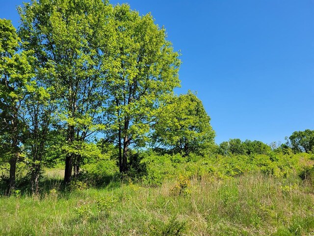 0 Red Barn Rd, Grovespring, MO 65662 - photo 52