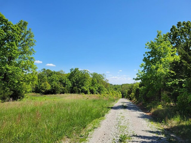 0 Red Barn Rd, Grovespring, MO 65662 - photo 53