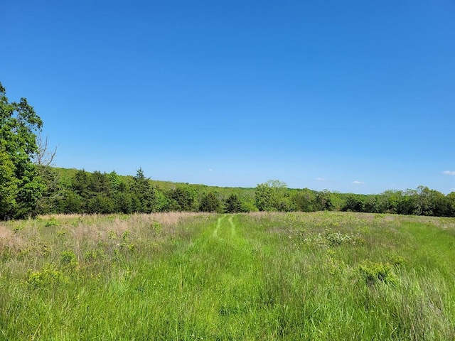 0 Red Barn Rd, Grovespring, MO 65662 - photo 54