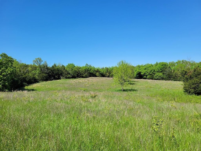 0 Red Barn Rd, Grovespring, MO 65662 - photo 55