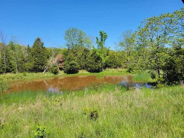 0 Red Barn Rd, Grovespring, MO 65662 - photo 56