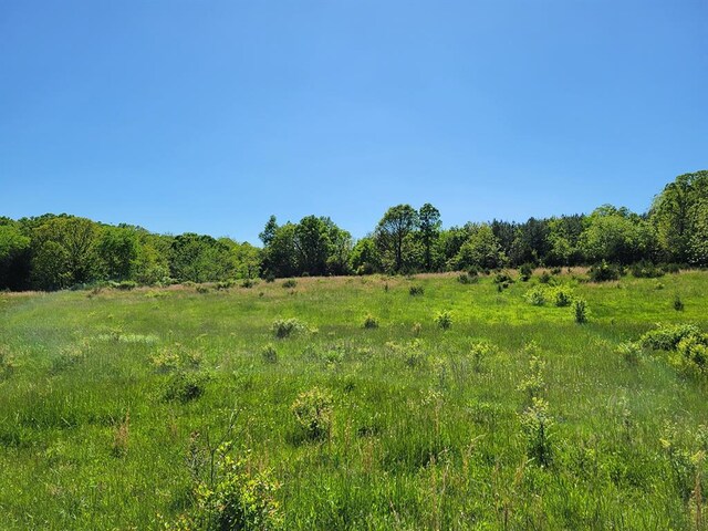 0 Red Barn Rd, Grovespring, MO 65662 - photo 60