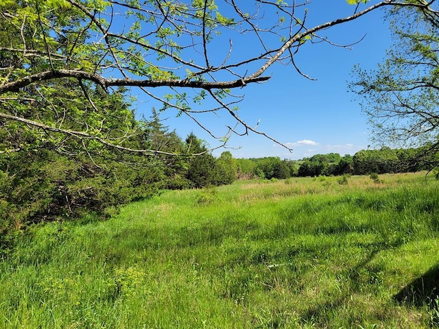 0 Red Barn Rd, Grovespring, MO 65662 - photo 63