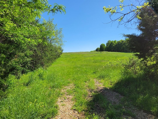 0 Red Barn Rd, Grovespring, MO 65662 - photo 65