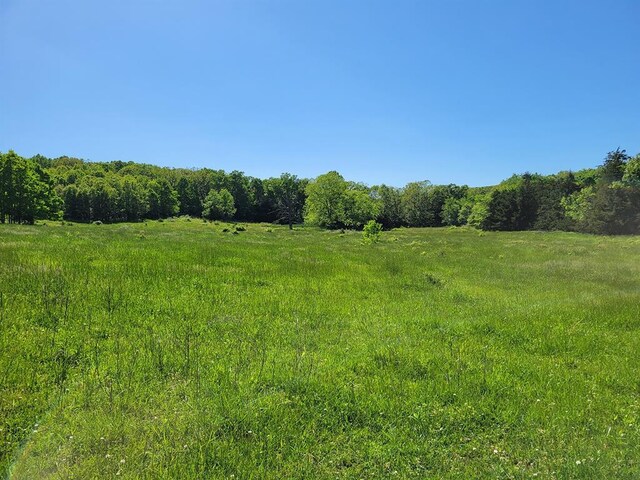 0 Red Barn Rd, Grovespring, MO 65662 - photo 66