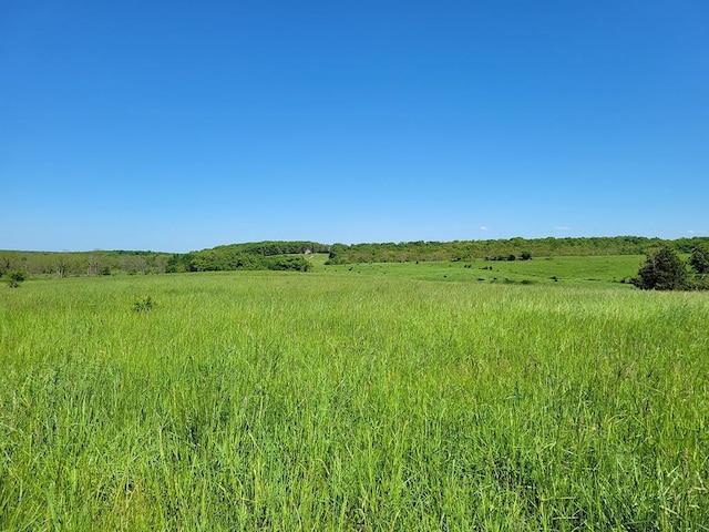 0 Red Barn Rd, Grovespring, MO 65662 - photo 69