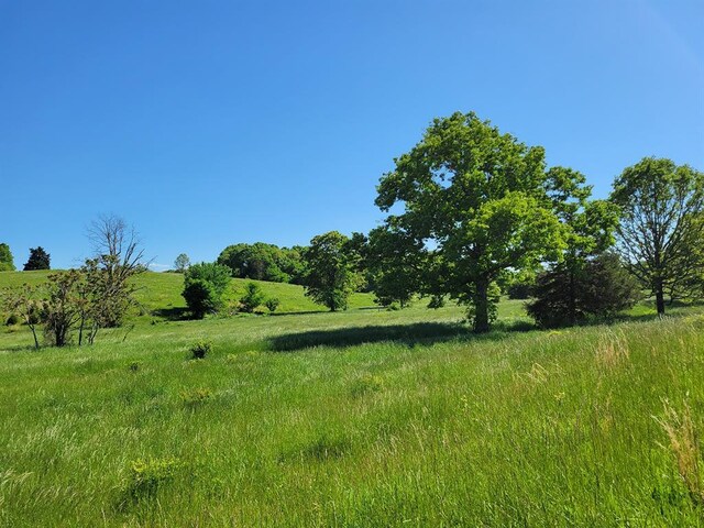 0 Red Barn Rd, Grovespring, MO 65662 - photo 70