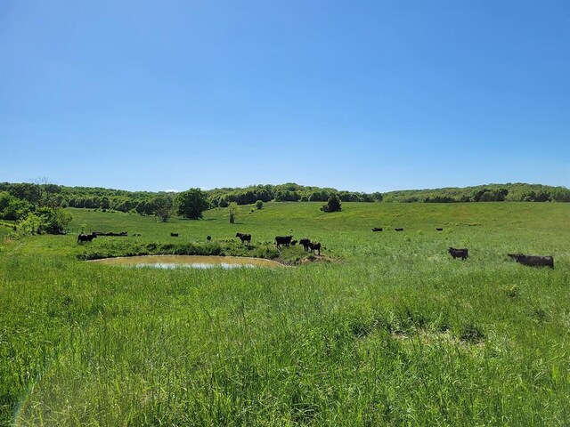 0 Red Barn Rd, Grovespring, MO 65662 - photo 75