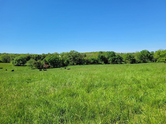 0 Red Barn Rd, Grovespring, MO 65662 - photo 77