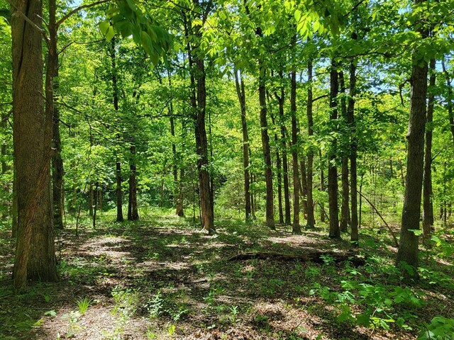 0 Red Barn Rd, Grovespring, MO 65662 - photo 78