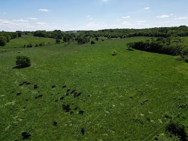 0 Red Barn Rd, Grovespring, MO 65662 - photo 82