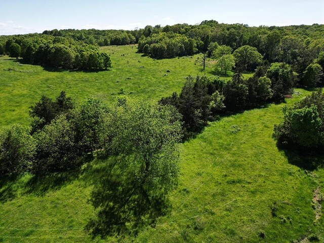 0 Red Barn Rd, Grovespring, MO 65662 - photo 84