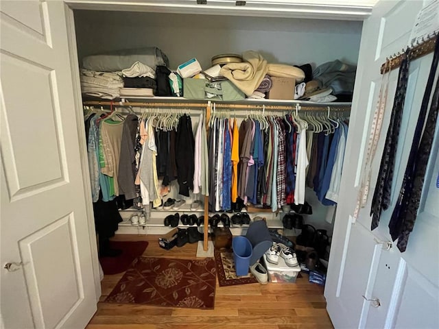 95 W Lakeview Dr, De Soto, MO 63020 - view of closet
