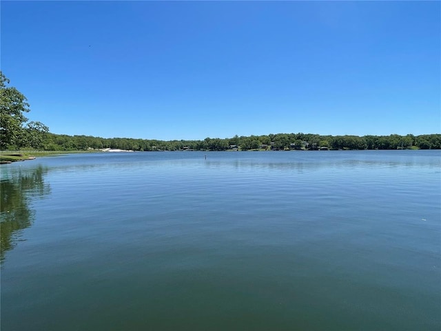 95 W Lakeview Dr, De Soto, MO 63020 - water view