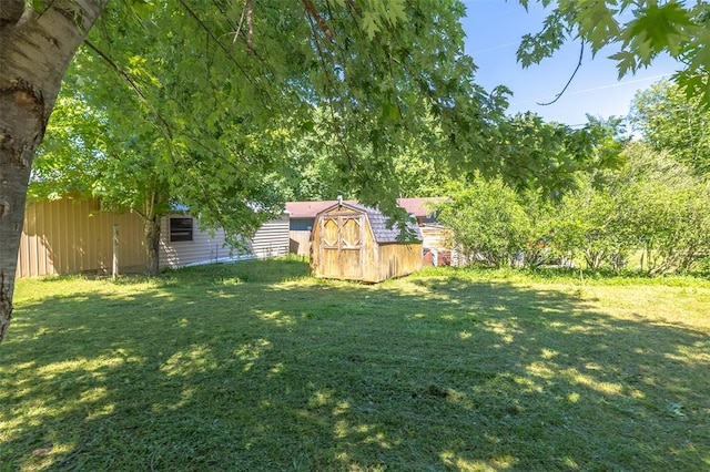 527 Gibbs Ln, Van Buren, MO 63965 - view of yard