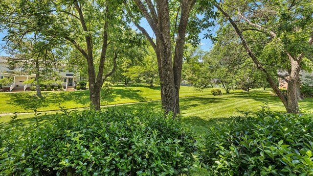 9188 Wrenwood Ln, Brentwood, MO 63144 - photo 27