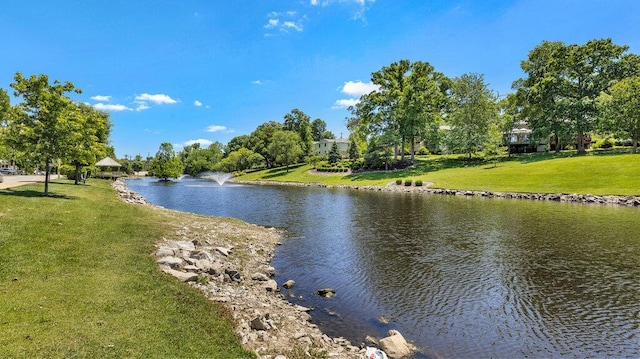 9188 Wrenwood Ln, Brentwood, MO 63144 - photo 32