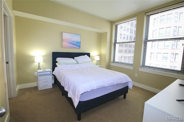 314 N Broadway Unit 603, Saint Louis, MO 63102 - bedroom featuring carpet and multiple windows