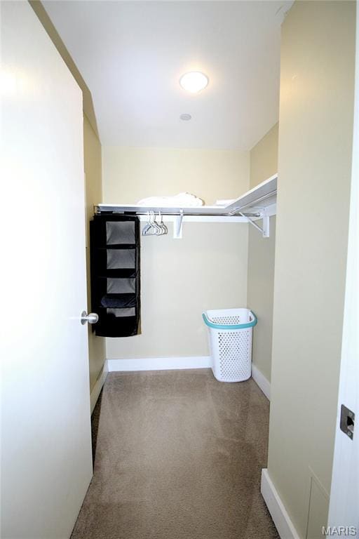 314 N Broadway Unit 603, Saint Louis, MO 63102 - spacious closet featuring carpet flooring