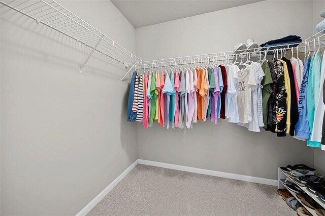 217 Arlington Dr, Moscow Mills, MO 63362 - spacious closet featuring carpet
