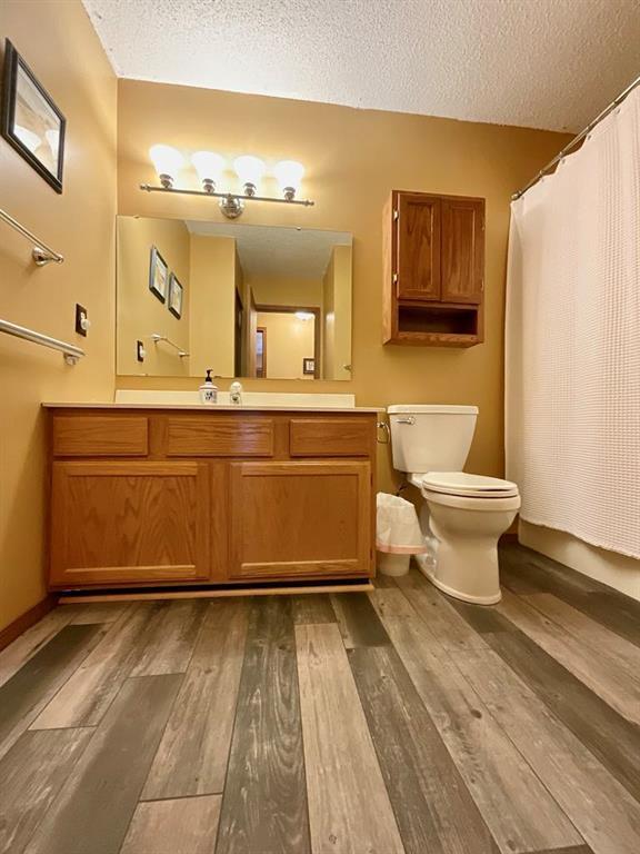 18318 Lakeview Cir Unit 606, Monroe City, MO 63456 - bathroom featuring wood finished floors, a textured ceiling, toilet, vanity, and a shower with curtain