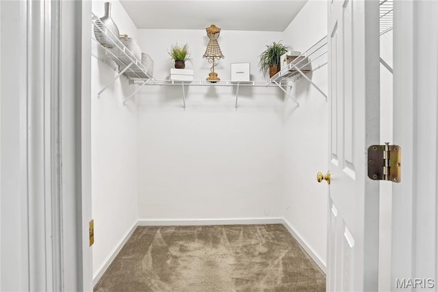 736 Berrywine Ln, Arnold, MO 63010 - walk in closet with carpet flooring