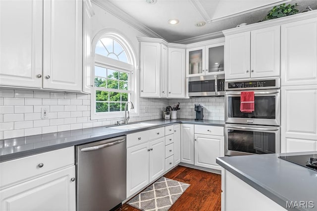 113 Riverwalk Dr, Desloge, MO 63628 - kitchen featuring appliances with stainless steel finishes, a sink, white cabinets, dark wood-style flooring, and decorative backsplash