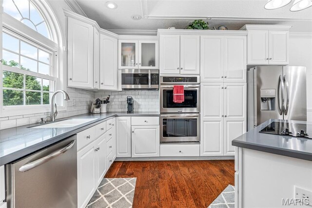 113 Riverwalk Dr, Desloge, MO 63628 - kitchen with appliances with stainless steel finishes, a sink, white cabinetry, dark wood-type flooring, and tasteful backsplash