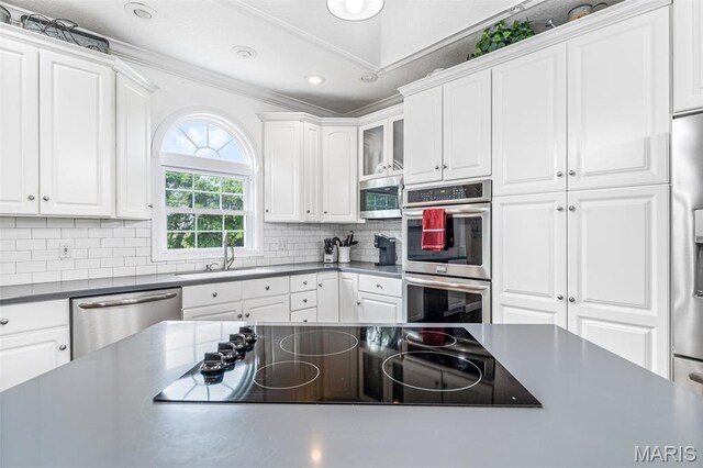 113 Riverwalk Dr, Desloge, MO 63628 - kitchen featuring stainless steel appliances, a sink, white cabinets, decorative backsplash, and crown molding