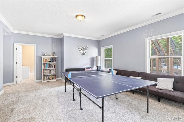 113 Riverwalk Dr, Desloge, MO 63628 - recreation room with crown molding, carpet flooring, baseboards, and a textured ceiling