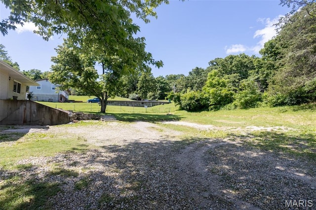 13012 Hencher Rd, De Soto, MO 63020 - view of yard
