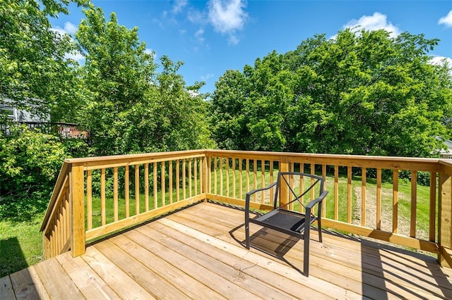 219 Grandview Ave, Union, MO 63084 - photo 28