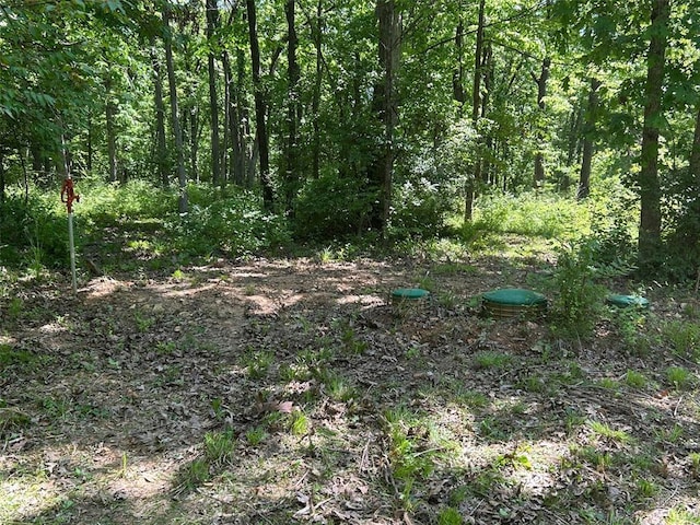 136 Sydnorville Rd, Troy, MO 63379 - photo 2