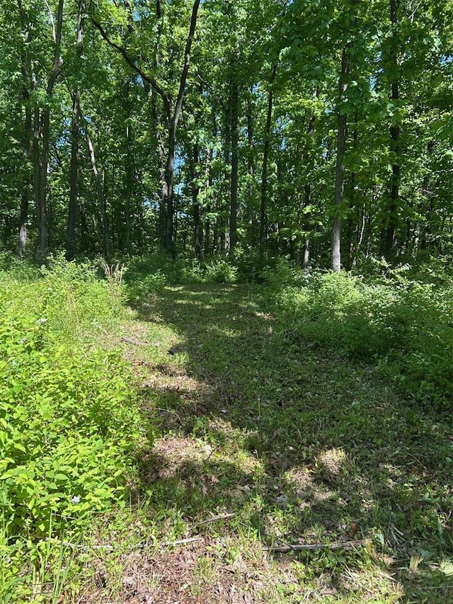 136 Sydnorville Rd, Troy, MO 63379 - photo 6