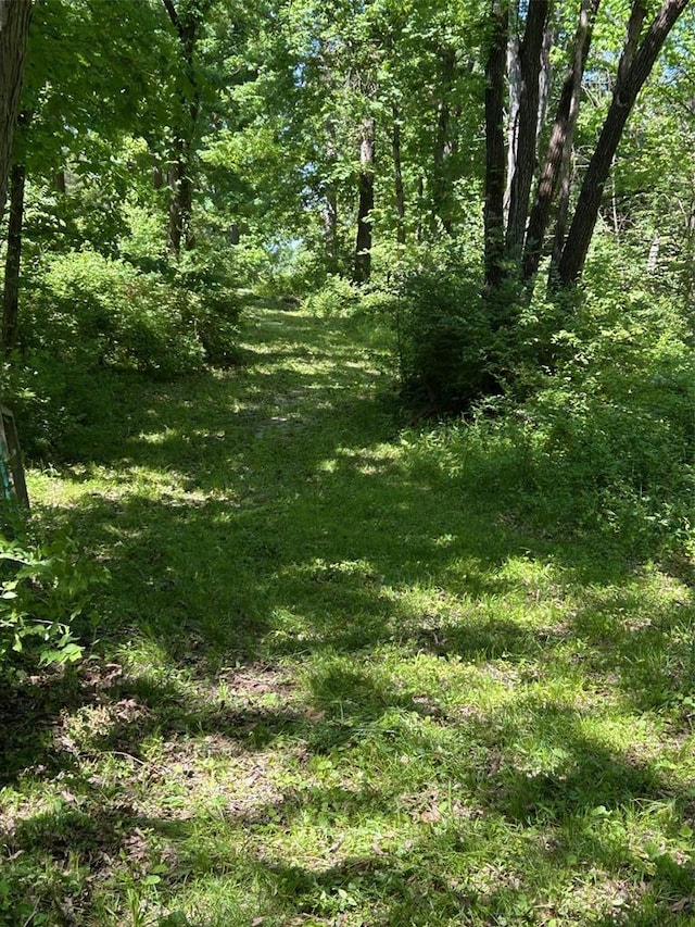 136 Sydnorville Rd, Troy, MO 63379 - photo 7