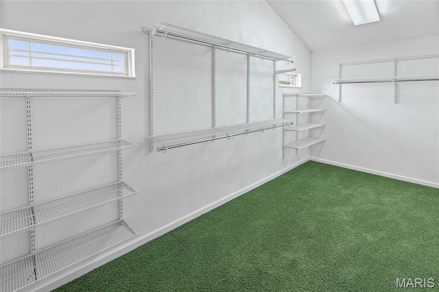 6517 Augies Way Pl, Millstadt, IL 62260 - spacious closet with carpet and vaulted ceiling