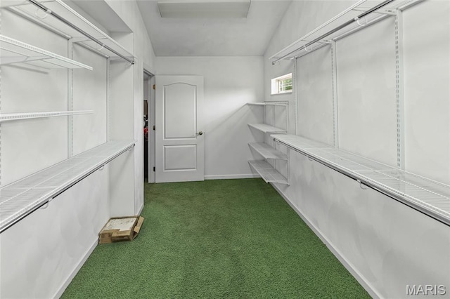 6517 Augies Way Pl, Millstadt, IL 62260 - spacious closet featuring dark carpet