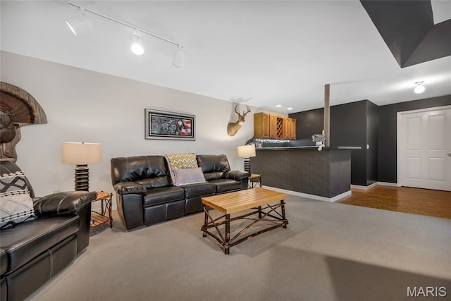 15 Eagles Way Ln, Lake St Louis, MO 63367 - living area featuring carpet floors, rail lighting, and bar