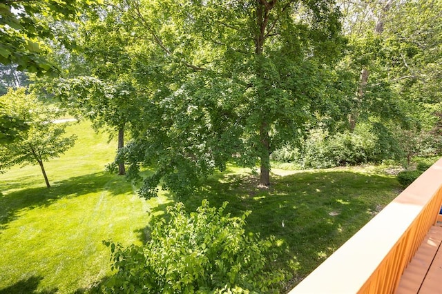 3 Wedgewood Ct, Edwardsville, IL 62025 - view of grassy yard