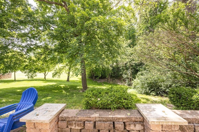 3 Wedgewood Ct, Edwardsville, IL 62025 - view of green lawn