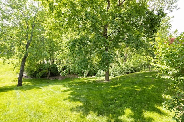 3 Wedgewood Ct, Edwardsville, IL 62025 - view of grassy yard