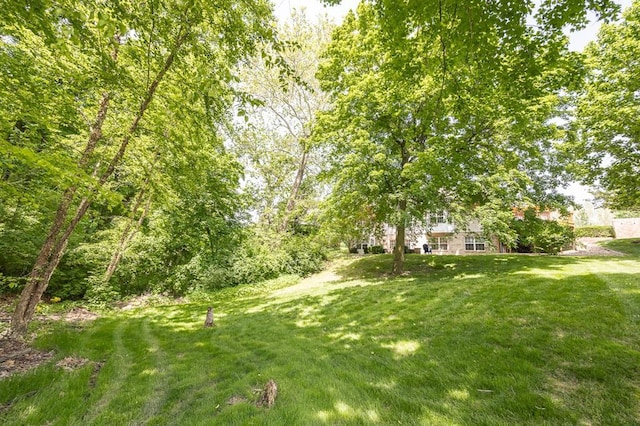 3 Wedgewood Ct, Edwardsville, IL 62025 - view of grassy yard