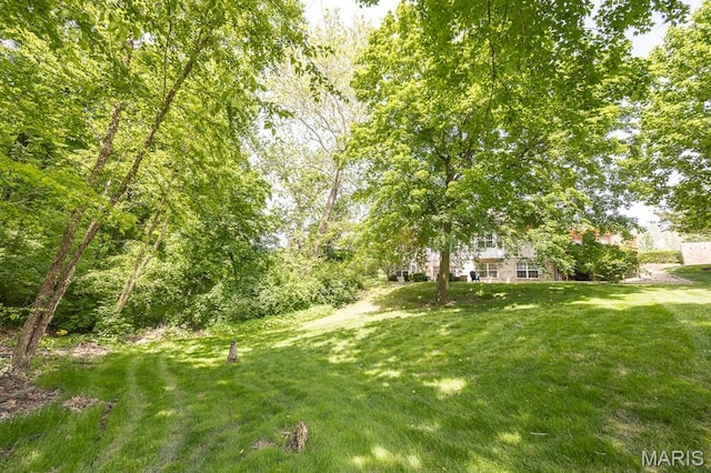 3 Wedgewood Ct, Edwardsville, IL 62025 - photo 8