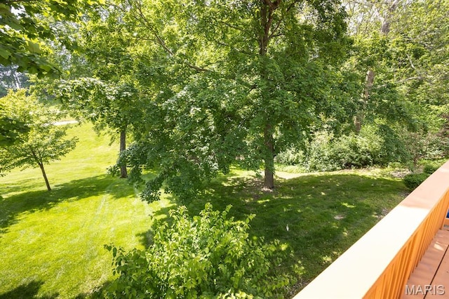 3 Wedgewood Ct, Edwardsville, IL 62025 - photo 42