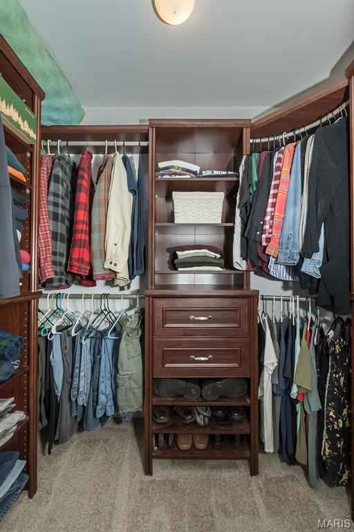 3414 Bedford Falls Dr, Wentzville, MO 63385 - spacious closet featuring carpet