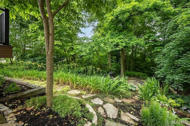 3414 Bedford Falls Dr, Wentzville, MO 63385 - view of yard