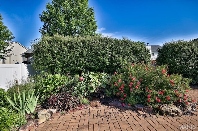 13 Annebriar Dr, Maryville, IL 62062 - photo 41