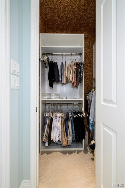 816 S Hanley Rd Unit 8C, Saint Louis, MO 63105 - view of closet