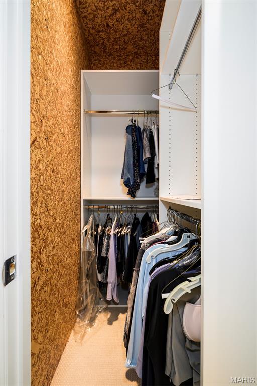 816 S Hanley Rd Unit 8C, Saint Louis, MO 63105 - view of closet
