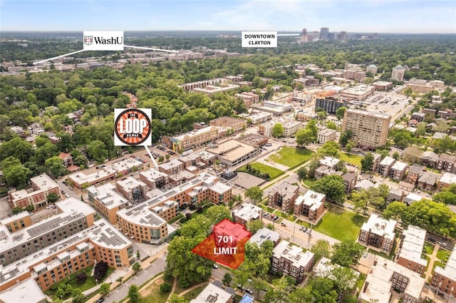 701 Limit Ave, University City, MO 63130 - view of urban area